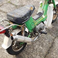 ホンダシャリーの画像