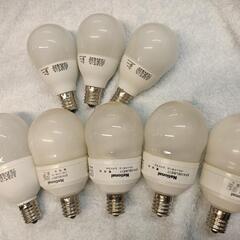 電球×8個セットの画像