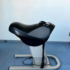 National 乗馬フィットネス機器 JOBA