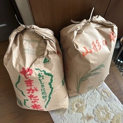 令和6年度産　新米コシヒカリ30Kg【玄米】