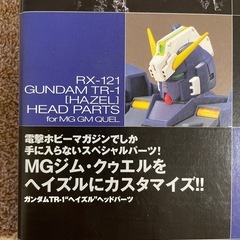 TR-1″ヘイズル″ ヘッドパーツ MGジム クゥエル用カスタムパーツ 電撃ホビーマガジン 2003年1月号付録の画像