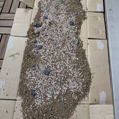水槽の底砂利