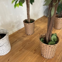 造花/植木×4本/インテリアの画像
