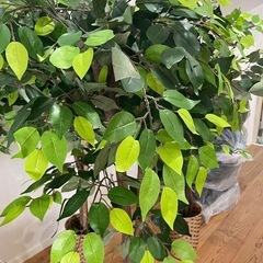 造花/植木×4本/インテリアの画像