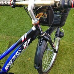自転車　22インチの画像