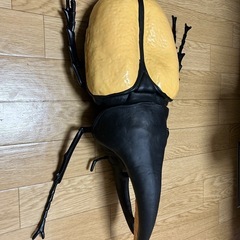 コーカサスオオカブト取引中