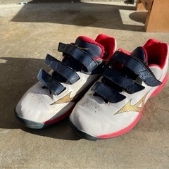 【受付本日まで】トレーニングシューズ 