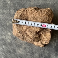 ロックシェルターの画像