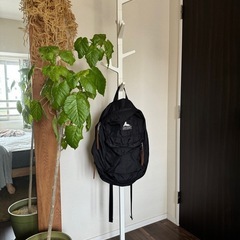 ポールハンガー アクタスで購入の画像