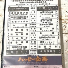 ザ闘牛 IN 徳之島【2枚組】～第12回全島軽量級優勝旗争奪戦&成人杯決定戦の画像