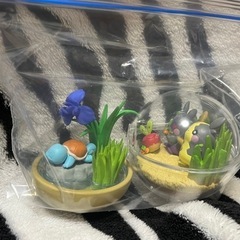 ポケモン✰リーメントの画像