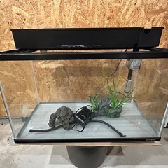 コトブキ600水槽セット