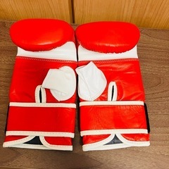 イサミパンチグローブ
の画像