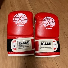 イサミパンチグローブ
の画像