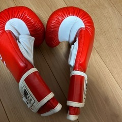 イサミパンチグローブ
の画像