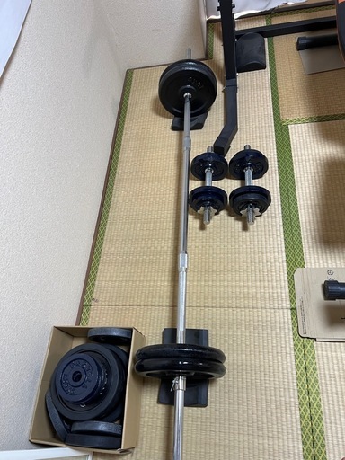（商談中）WASAI(ワサイ) ハーフラック パワーケージ 懸垂マシン 懸垂/ベンチプレス/スクワット/ディップス 筋力トレーニング 
