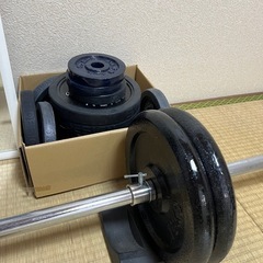 （商談中）WASAI(ワサイ) ハーフラック パワーケージ 懸垂マシン 懸垂/ベンチプレス/スクワット/ディップス 筋力トレーニング バーベルスタンド (MK780)の画像