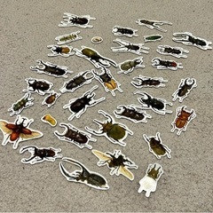 【定価2000円】マグネットシールブック　おもちゃ　知育玩具　恐竜　昆虫の画像