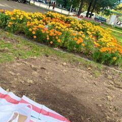 札幌☆楽しく居心地のいい会、集まりませんか？
