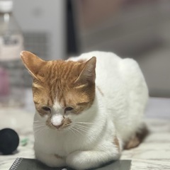 1/3更新 - 鯖江市
