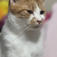1/3更新