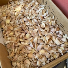 ③中国産にんにく🧄250g