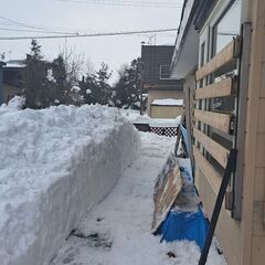 美唄市で除雪が必要な方‼️ - 生活トラブル