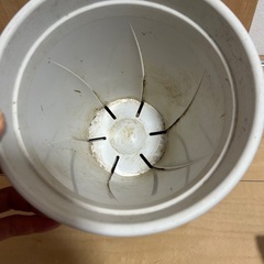 根張り鉢　6号 ✖️ 5の画像