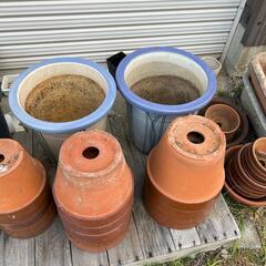 早い者勝ち！　無料！　植木鉢　鉢　の画像