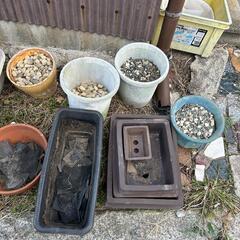 早い者勝ち！　無料！　植木鉢　鉢　の画像