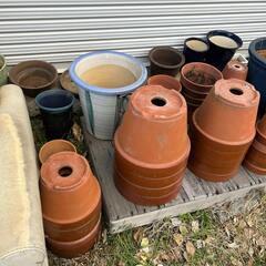 早い者勝ち！　無料！　植木鉢　鉢　の画像