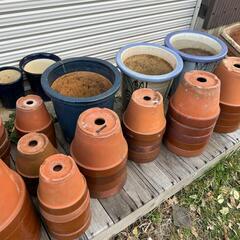 早い者勝ち！　無料！　植木鉢　鉢　の画像