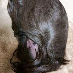 LINER WIG の画像