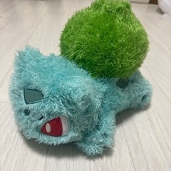 ぬいぐるみの画像