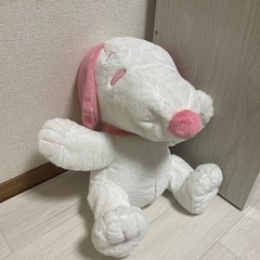 ぬいぐるみの画像