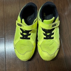 PUMA 靴　サイズ19