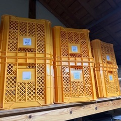 コンテナカゴの画像