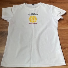 ハーリーハンセンTシャツ