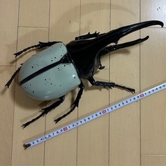 ヘラクレス　オオカブト　フィギア　カブトムシ