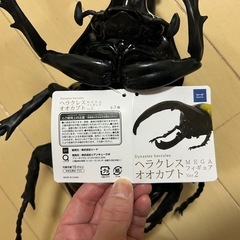ヘラクレス　オオカブト　フィギア　カブトムシの画像