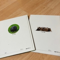しぜん本の画像