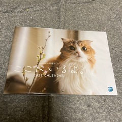 壁掛けカレンダー　2025年　ここにいるよ 猫