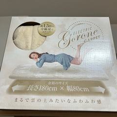 YAMAZEN　ふんわりごろ寝カーペット