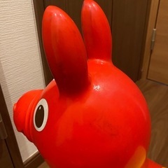 ロディの画像