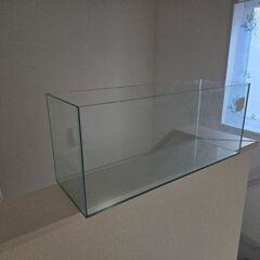 水槽の画像