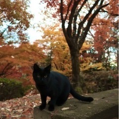 海外から来ました！ - 友達