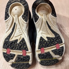 17.5センチの画像