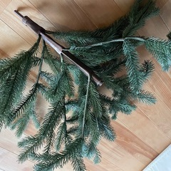 クリスマスツリーの画像