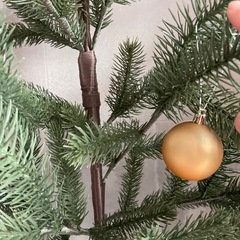 クリスマスツリーの画像