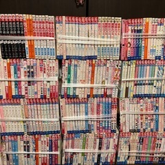 単行本。レンタル落ちの画像